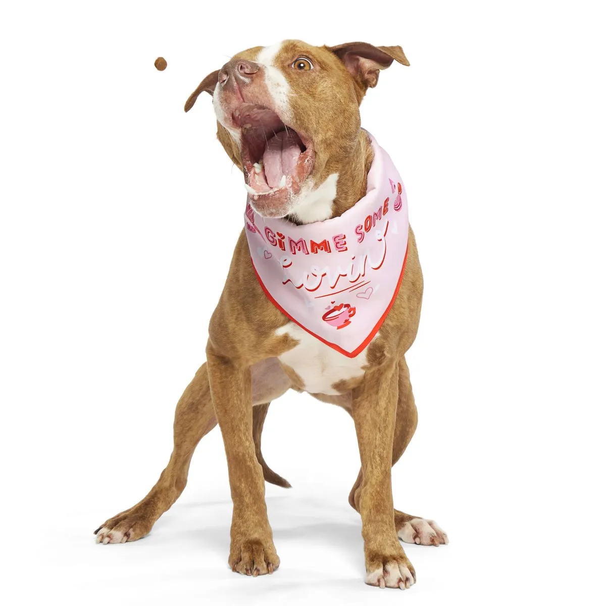 Valentine's Day Bandana