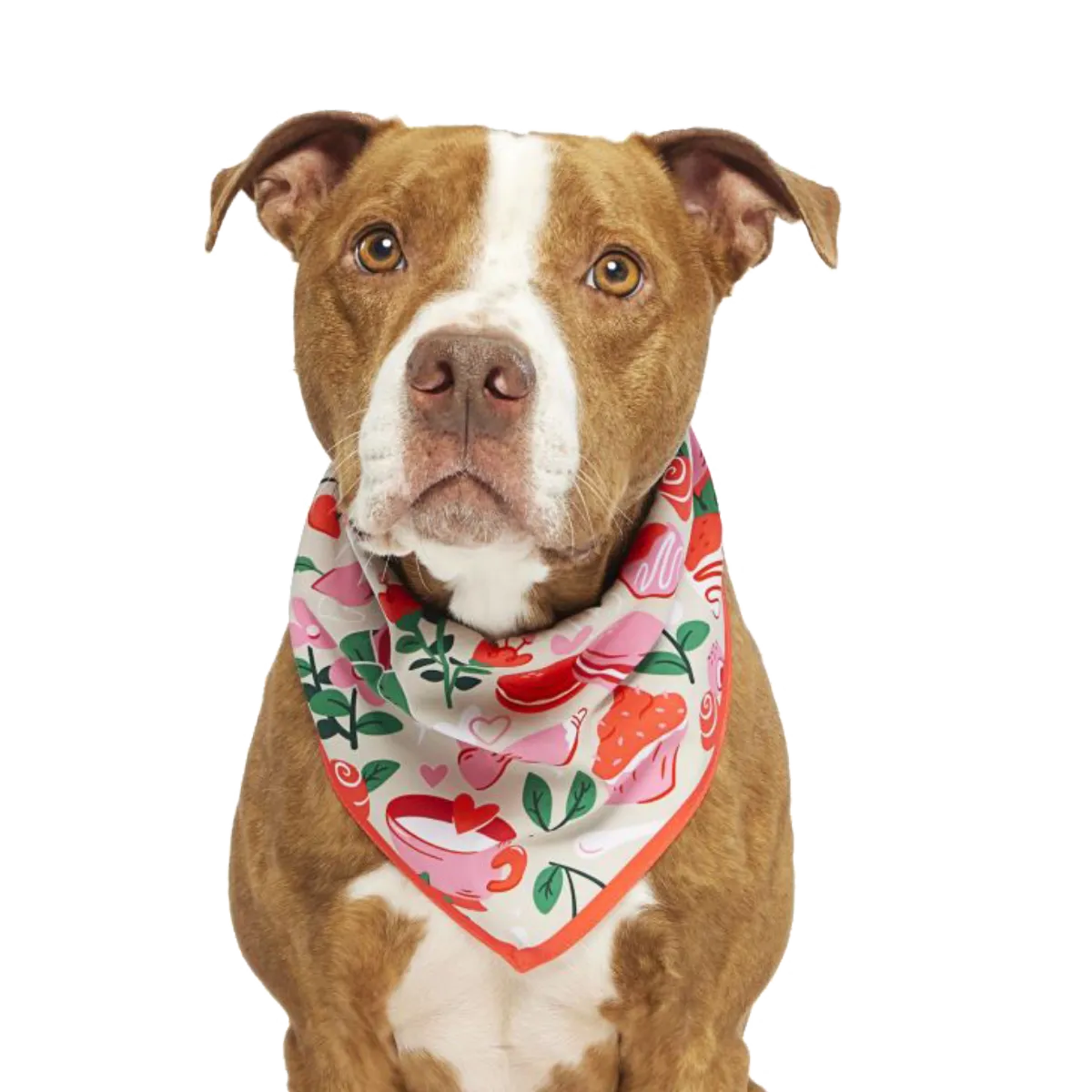 Valentine's Day Bandana