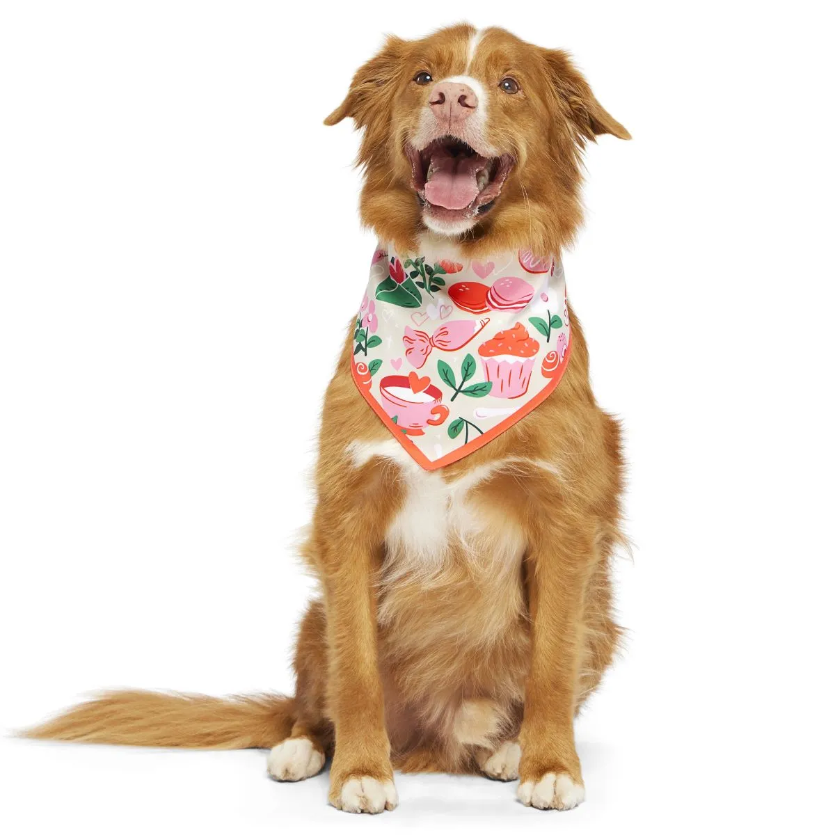 Valentine's Day Bandana